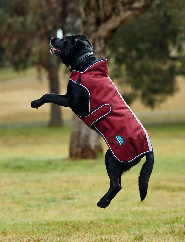 Weatherbeeta Comfitec Premier Deluxe Waterproof Dog Coat, 2 Colours, 11 Sizes.