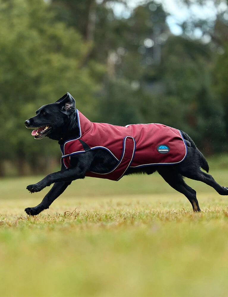 Weatherbeeta Comfitec Premier Deluxe Waterproof Dog Coat, 2 Colours, 11 Sizes.