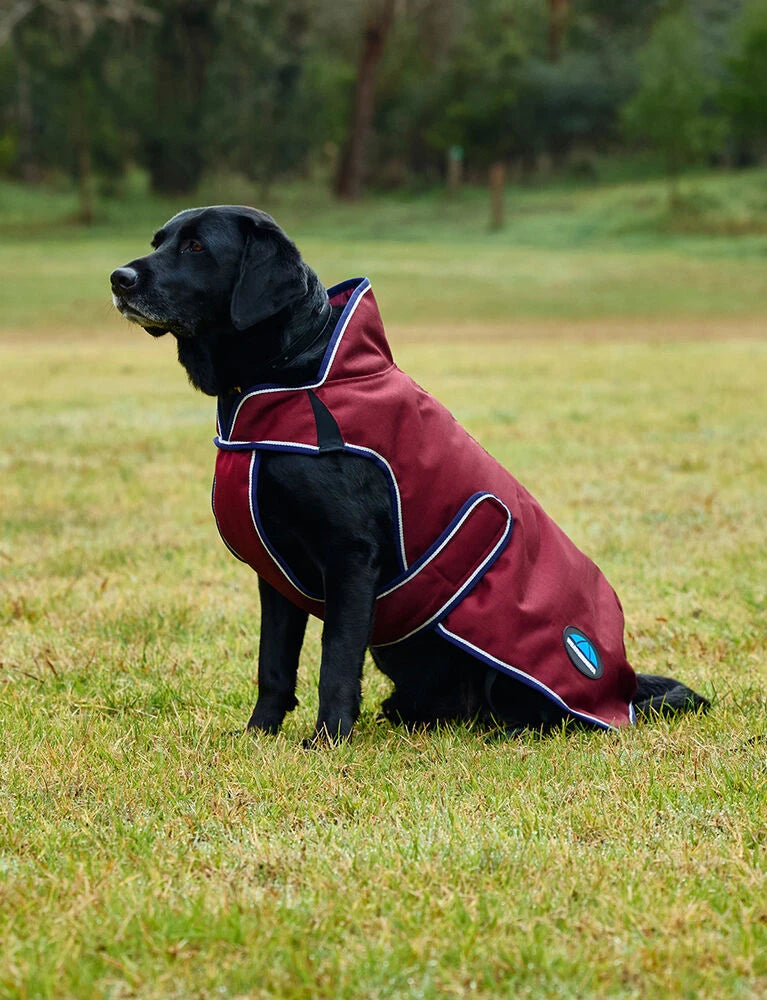 Weatherbeeta Comfitec Premier Deluxe Waterproof Dog Coat, 2 Colours, 11 Sizes.