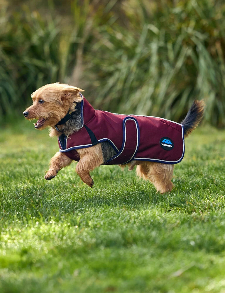 Weatherbeeta Comfitec Premier Deluxe Waterproof Dog Coat, 2 Colours, 11 Sizes.