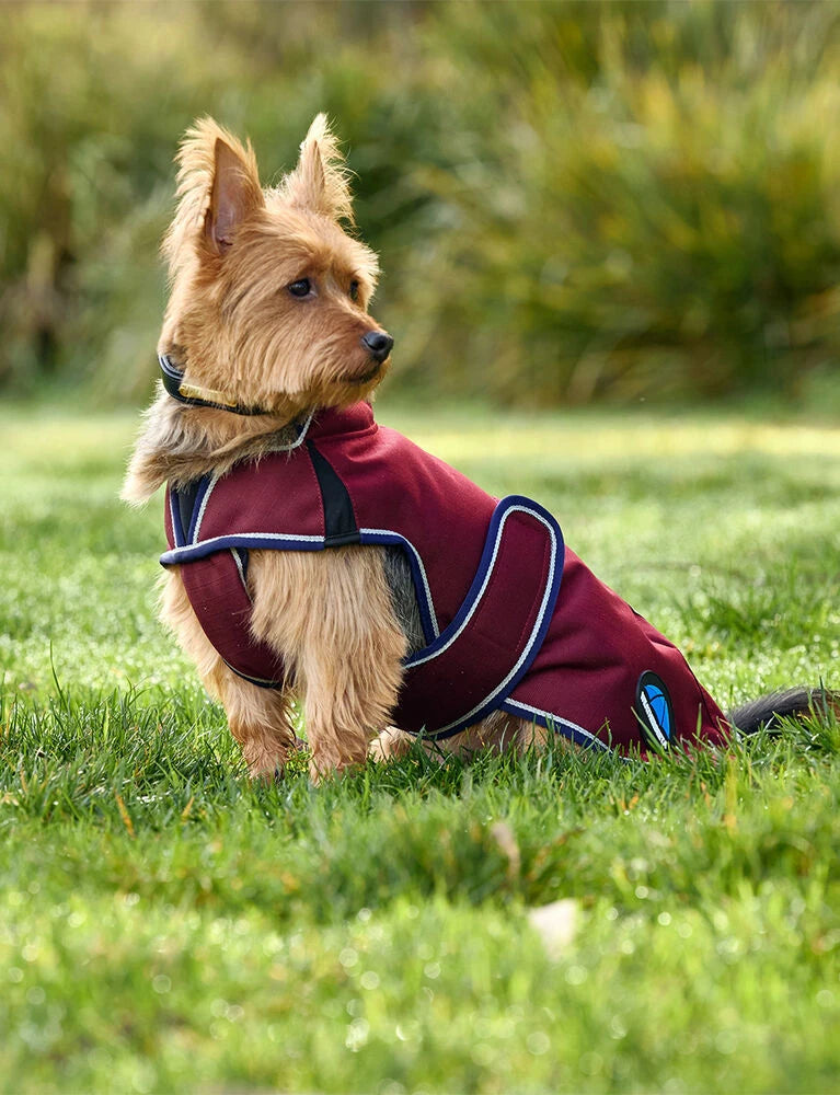 Weatherbeeta Comfitec Premier Deluxe Waterproof Dog Coat, 2 Colours, 11 Sizes.