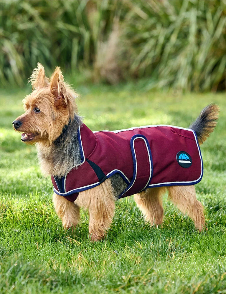 Weatherbeeta Comfitec Premier Deluxe Waterproof Dog Coat, 2 Colours, 11 Sizes.