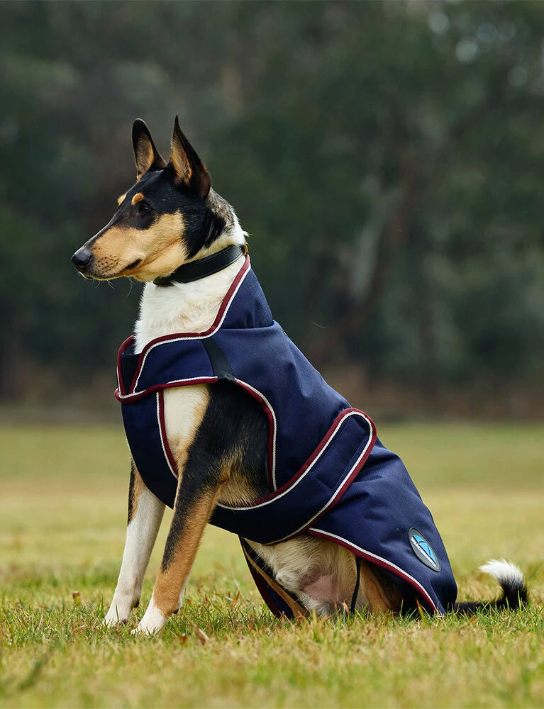 Weatherbeeta Comfitec Premier Deluxe Waterproof Dog Coat, 2 Colours, 11 Sizes.