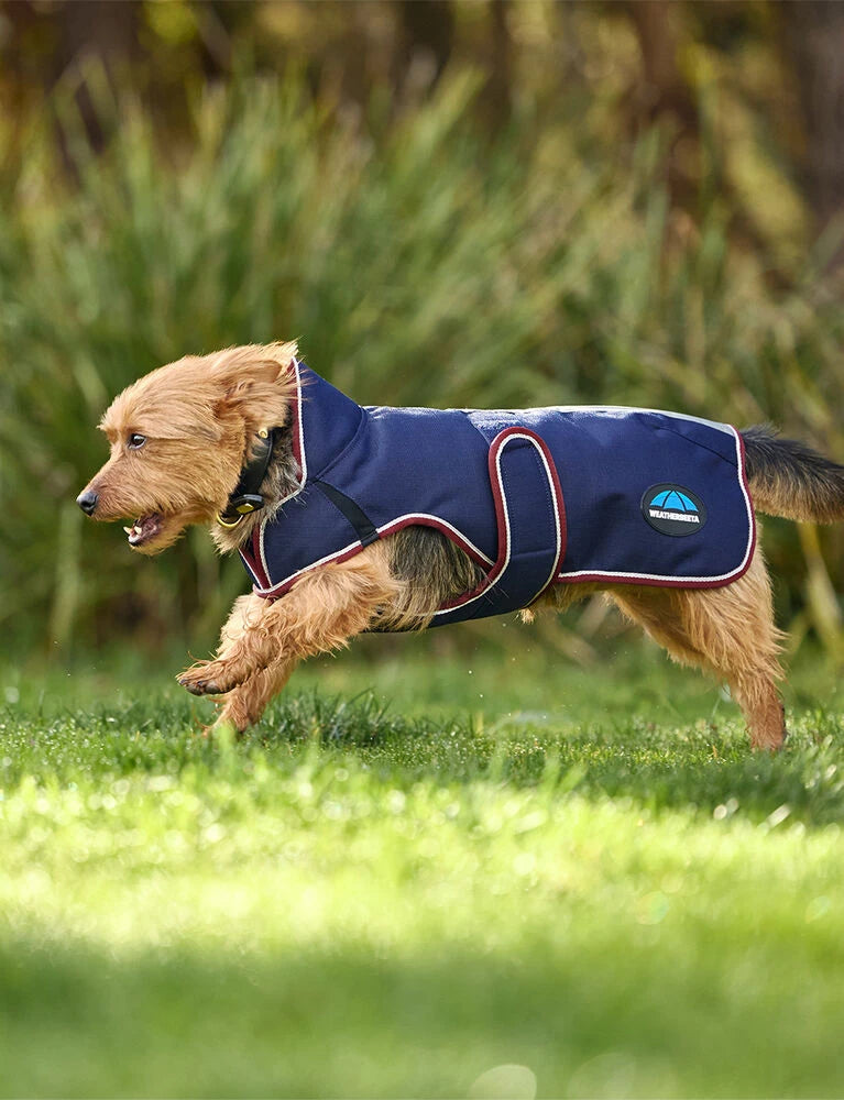 Weatherbeeta Comfitec Premier Deluxe Waterproof Dog Coat, 2 Colours, 11 Sizes.
