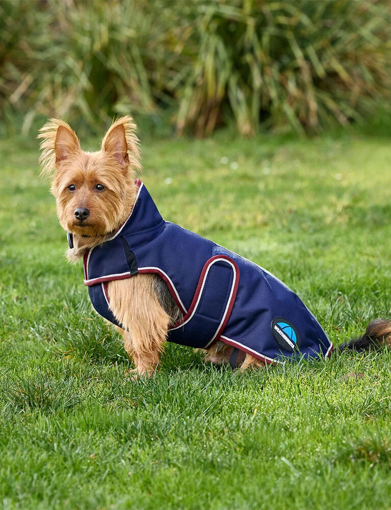 Weatherbeeta Comfitec Premier Deluxe Waterproof Dog Coat, 2 Colours, 11 Sizes.