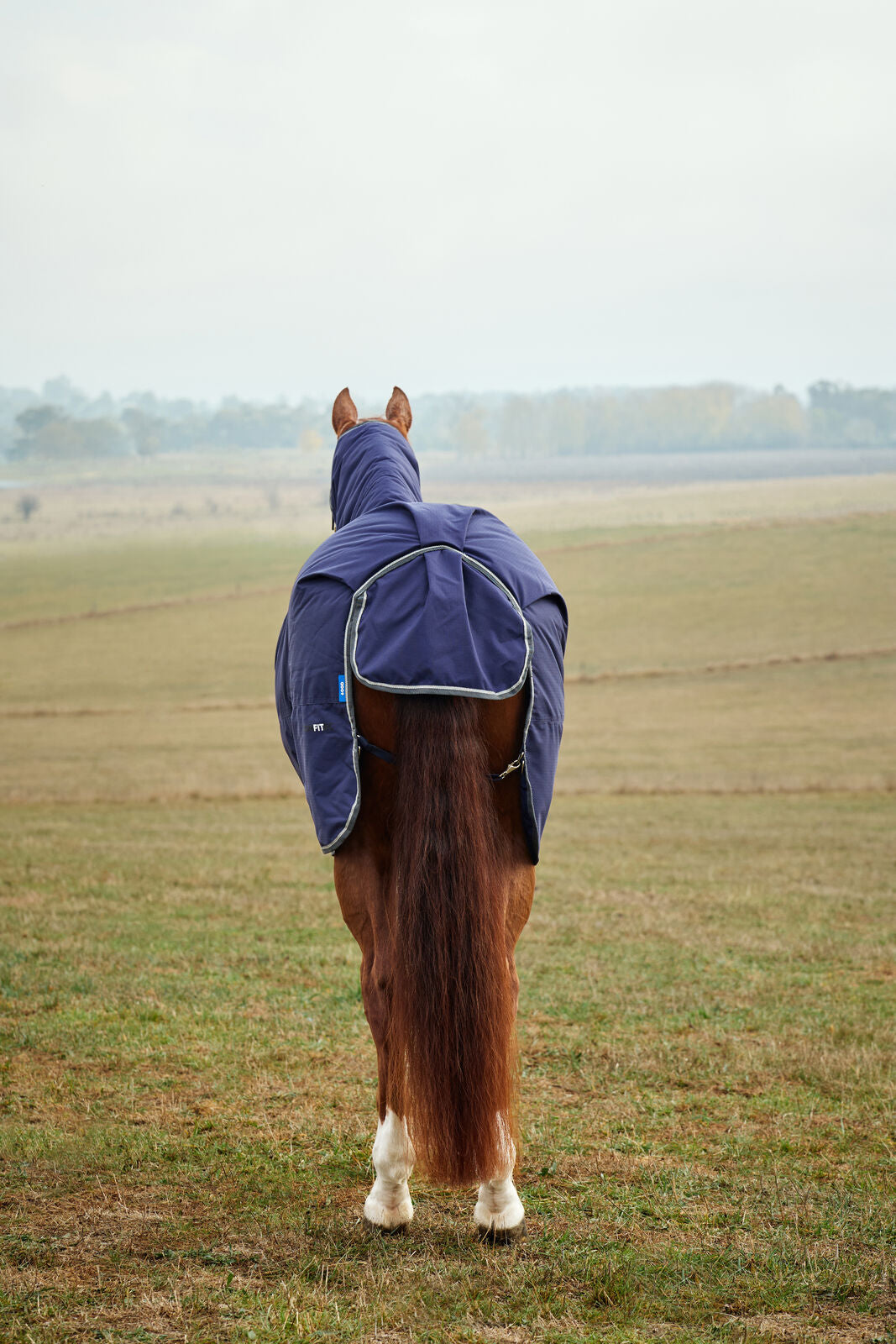WEATHERBEETA COMFITEC TYRO 50G HORSE TURNOUT RUG, FULL NECK COMBO, LIGHTWEIGHT
