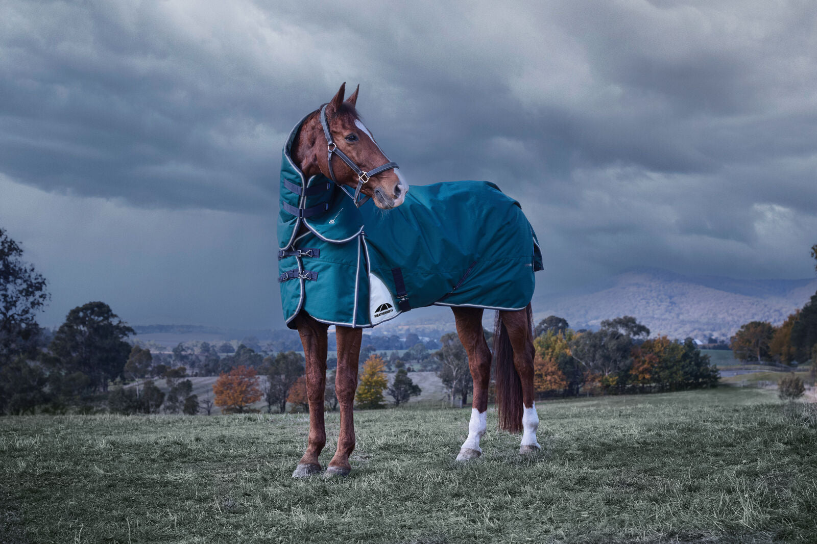 WEATHERBEETA COMFITEC PLUS DYNAMIC HORSE TURNOUT RUG, DETACH-A-NECK,  220G