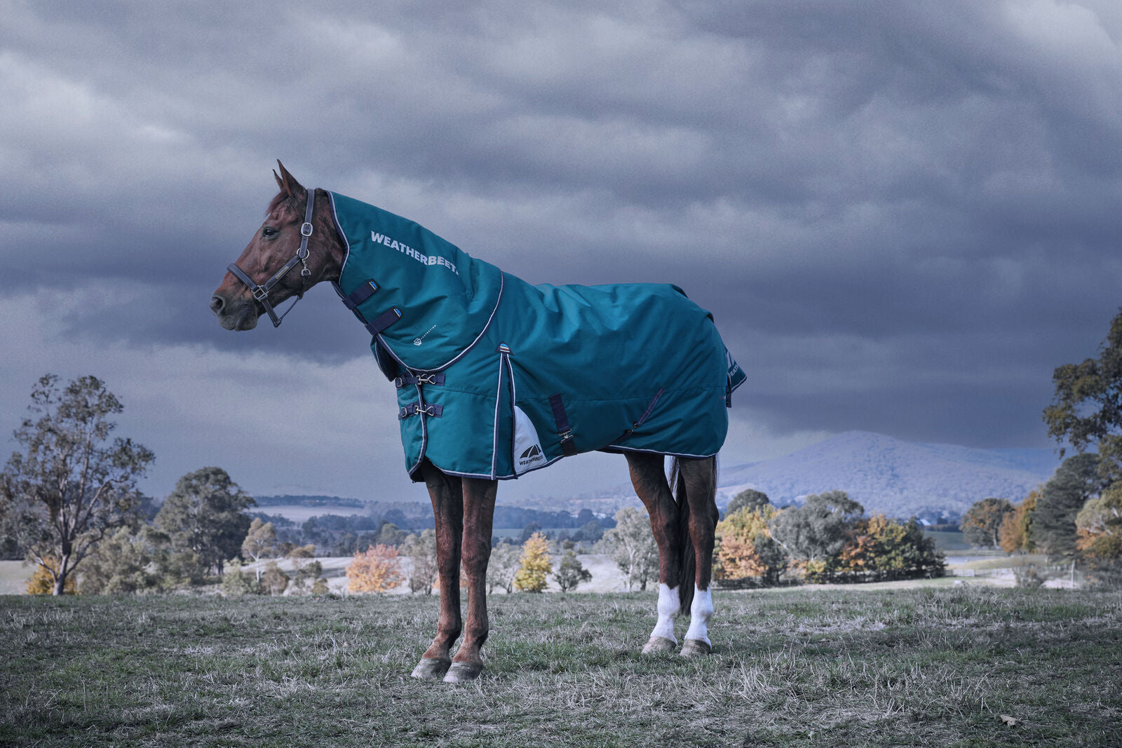 WEATHERBEETA COMFITEC PLUS DYNAMIC HORSE TURNOUT RUG, DETACH-A-NECK,  220G