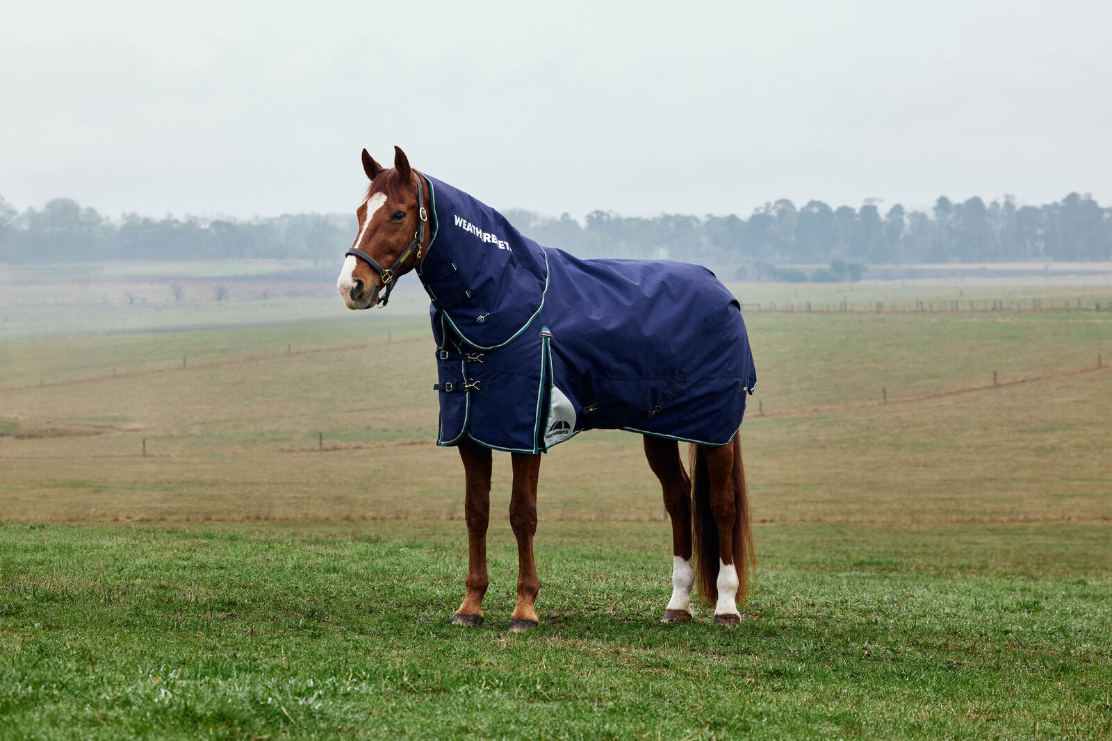 WEATHERBEETA COMFITEC PLUS DYNAMIC HORSE TURNOUT RUG, DETACH-A-NECK,  220G