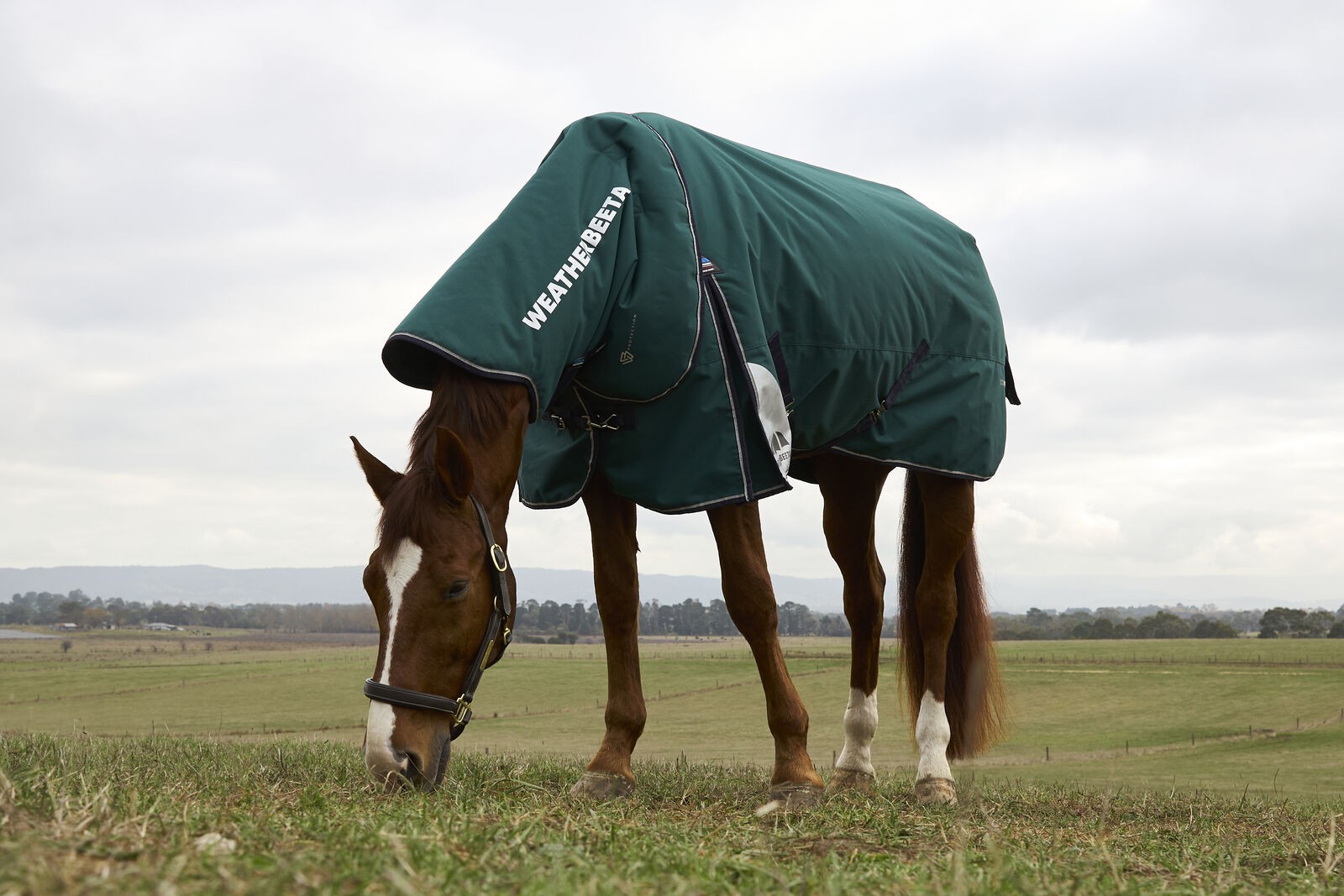 WEATHERBEETA COMFITEC PLUS DYNAMIC 100G HORSE TURNOUT RUG,  DETACH-A-NECK