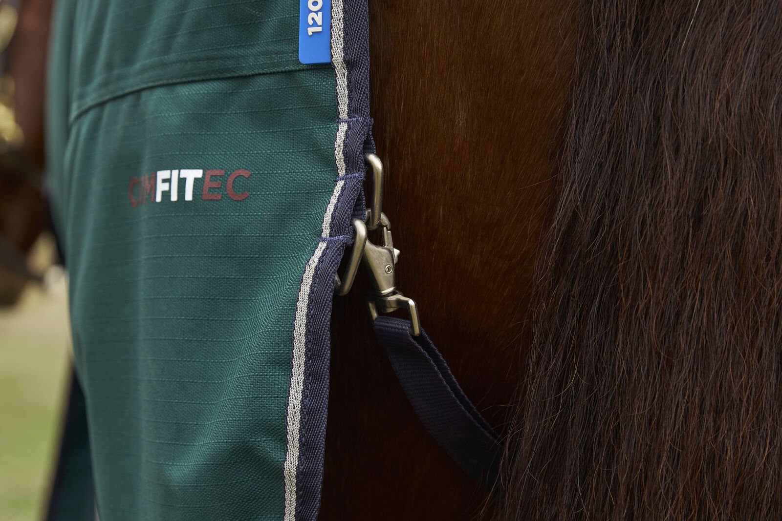 WEATHERBEETA COMFITEC PLUS DYNAMIC 100G HORSE TURNOUT RUG,  DETACH-A-NECK