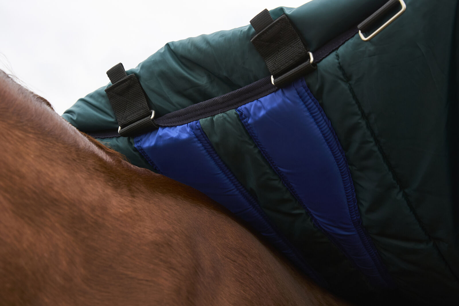 WEATHERBEETA COMFITEC PLUS DYNAMIC 100G HORSE TURNOUT RUG,  DETACH-A-NECK