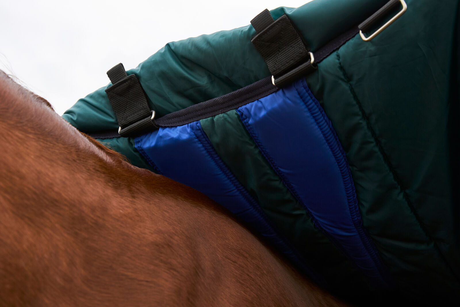 WEATHERBEETA COMFITEC PLUS DYNAMIC 0G HORSE TURNOUT RUG, DETACH-A-NECK, LIGHT