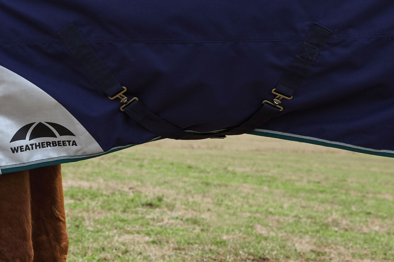 WEATHERBEETA COMFITEC PLUS DYNAMIC 0G HORSE TURNOUT RUG, DETACH-A-NECK, LIGHT