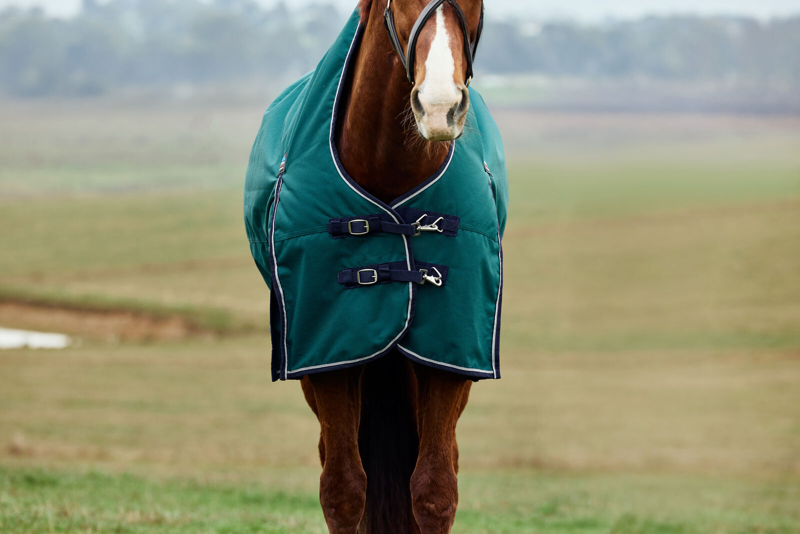 WEATHERBEETA COMFITEC PLUS DYNAMIC 220G HORSE TURNOUT RUG, HIGH NECK, 1200D