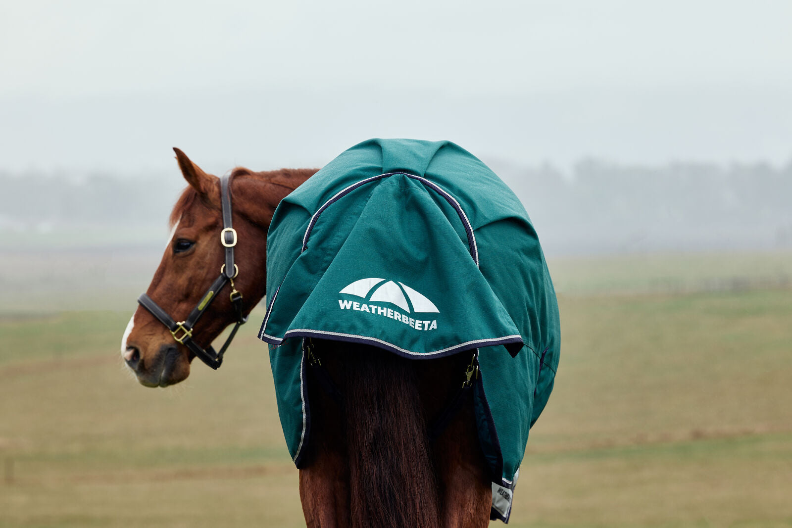 WEATHERBEETA COMFITEC PLUS DYNAMIC 220G HORSE TURNOUT RUG, HIGH NECK, 1200D
