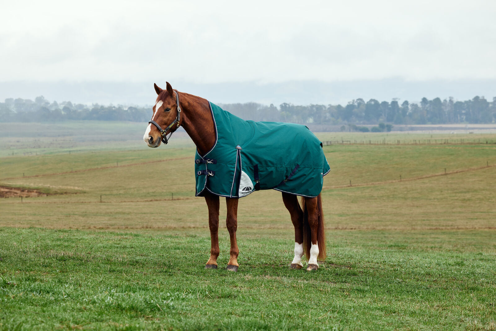 WEATHERBEETA COMFITEC PLUS DYNAMIC 220G HORSE TURNOUT RUG, HIGH NECK, 1200D
