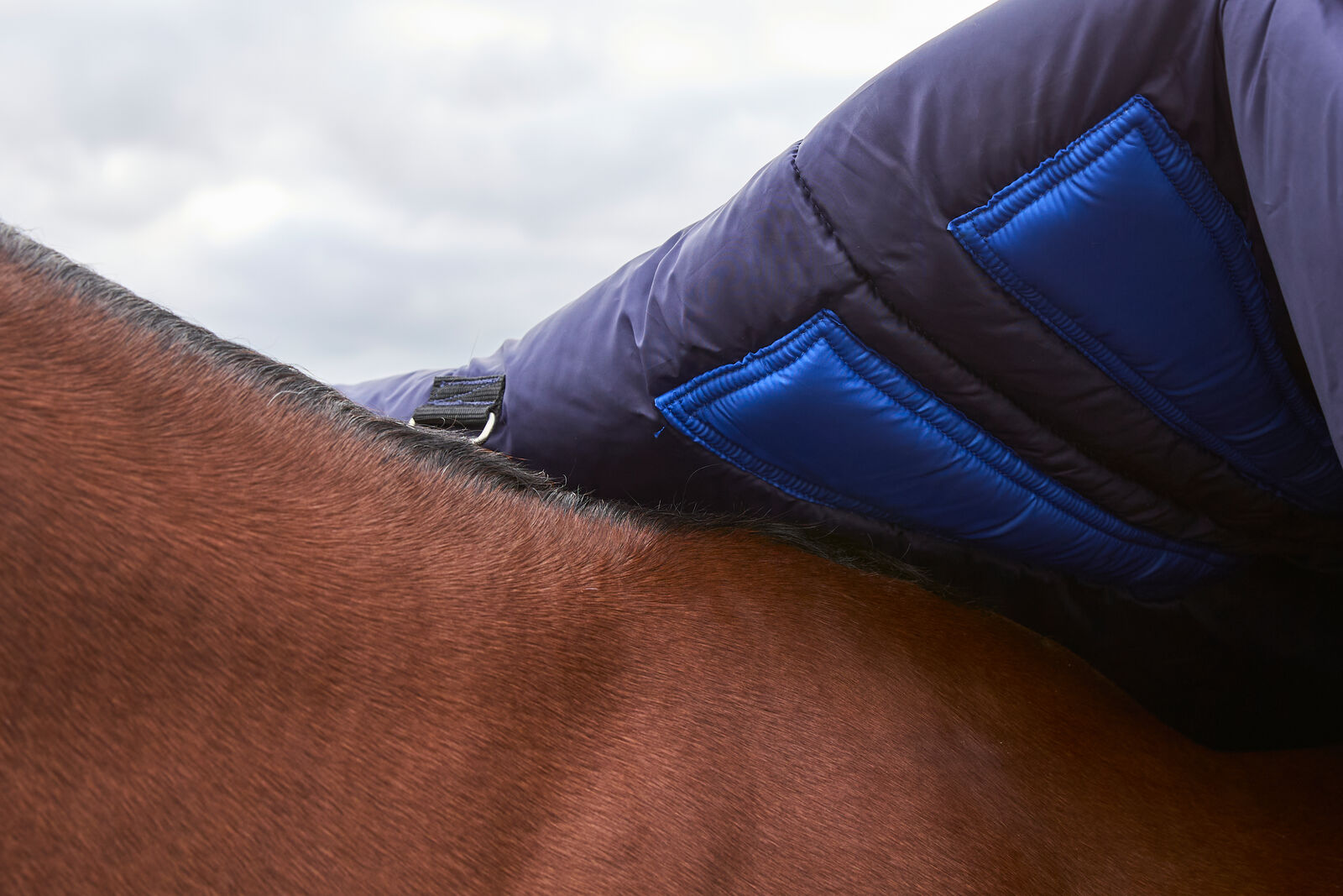 WEATHERBEETA COMFITEC PLUS DYNAMIC 220G HORSE TURNOUT RUG, HIGH NECK, 1200D