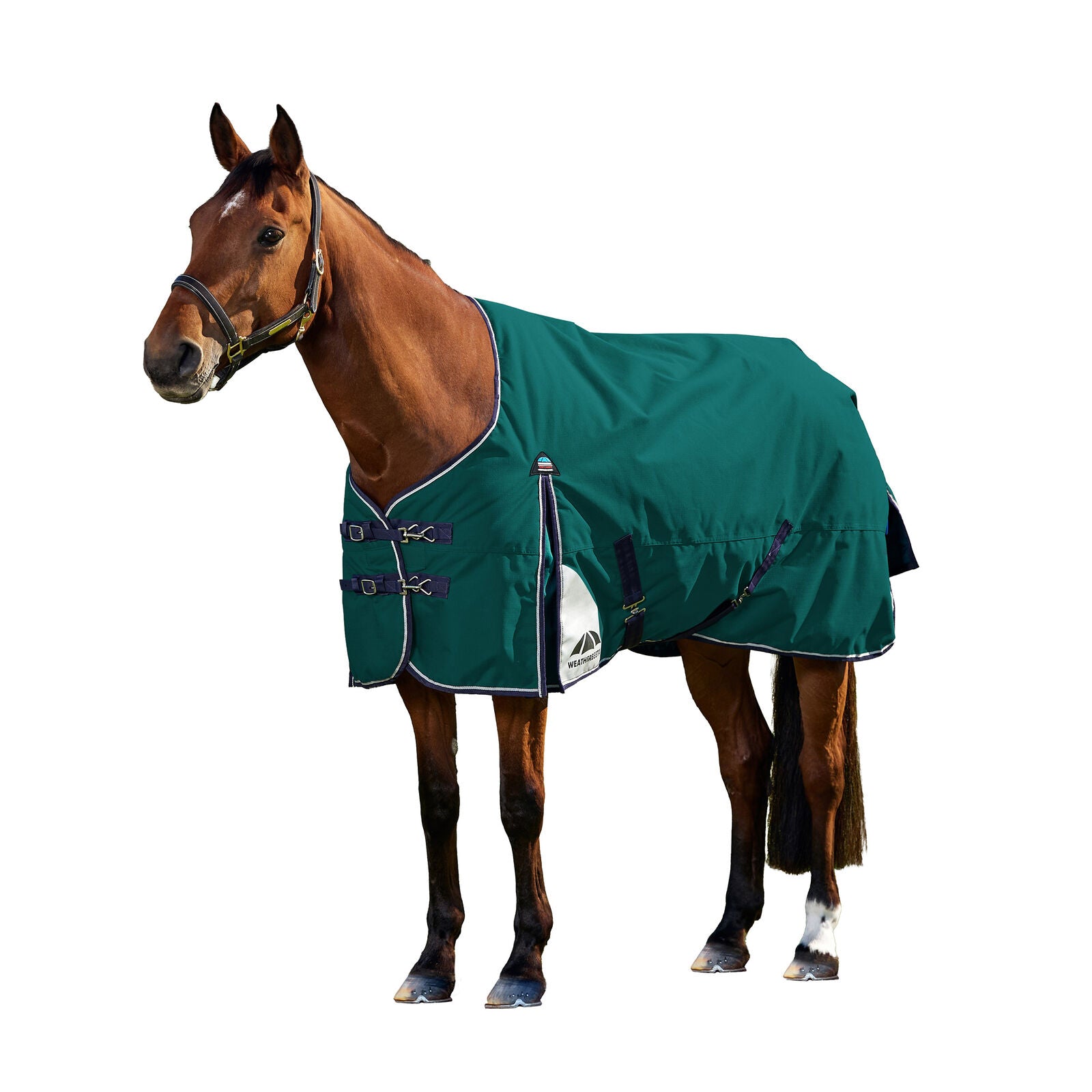 WEATHERBEETA COMFITEC PLUS DYNAMIC 0g HORSE TURNOUT RUG, STANDARD NECK, LIGHT