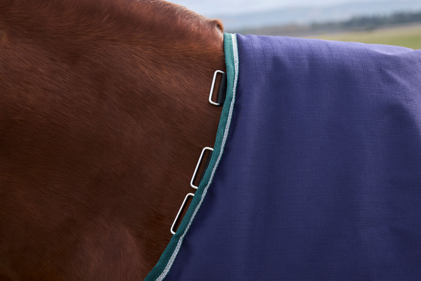 WEATHERBEETA COMFITEC PLUS DYNAMIC 100g HORSE TURNOUT RUG, STANDARD NECK