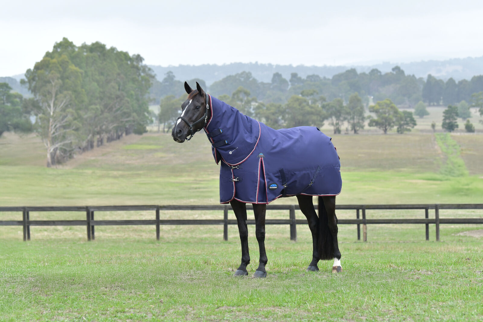 WEATHERBEETA COMFITEC ESSENTIAL 50g HORSE TURNOUT RUG, DETACH-A-NECK
