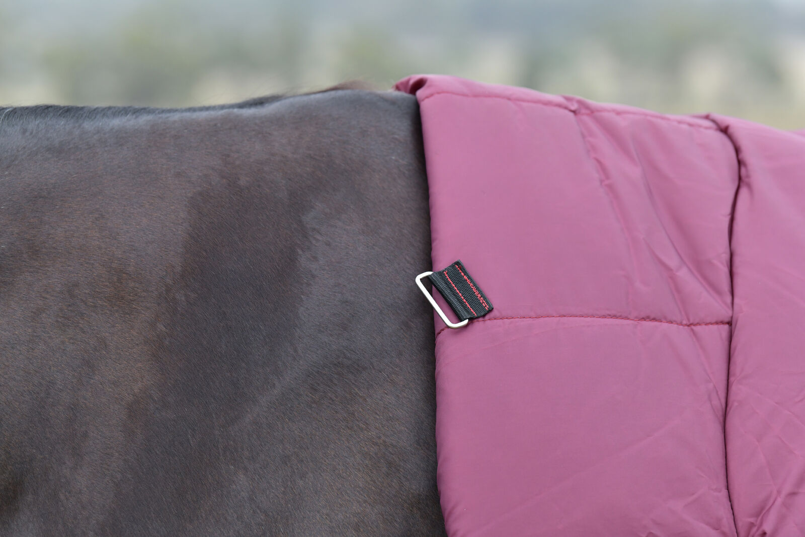 WEATHERBEETA COMFITEC ESSENTIAL 360G HORSE TURNOUT RUG, FULL NECK COMBO, 1200D