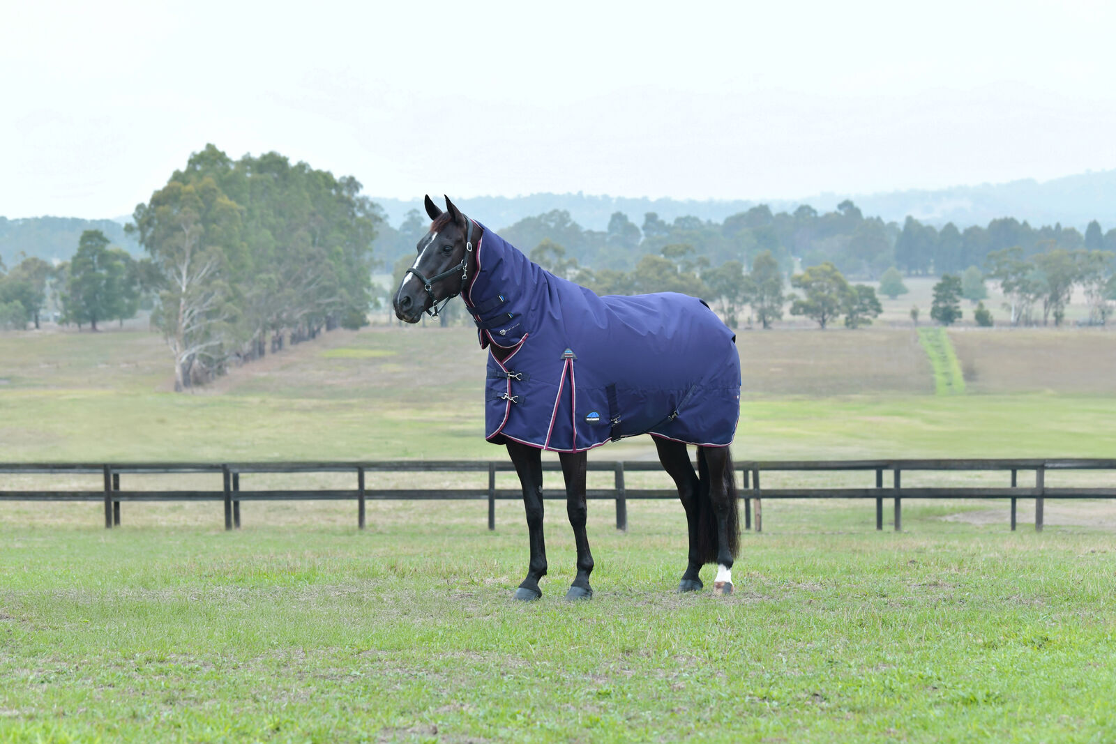 WEATHERBEETA COMFITEC ESSENTIAL 360G HORSE TURNOUT RUG, FULL NECK COMBO, 1200D