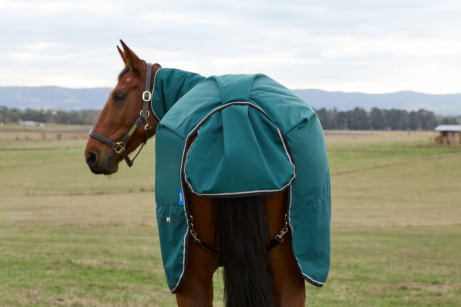 WEATHERBEETA COMFITEC CLASSIC 360G HORSE TURNOUT RUG, COMBO FULL NECK.