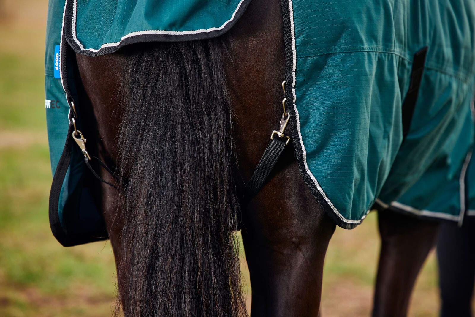 WEATHERBEETA COMFITEC CLASSIC 50G HORSE TURNOUT RUG, STANDARD NECK.