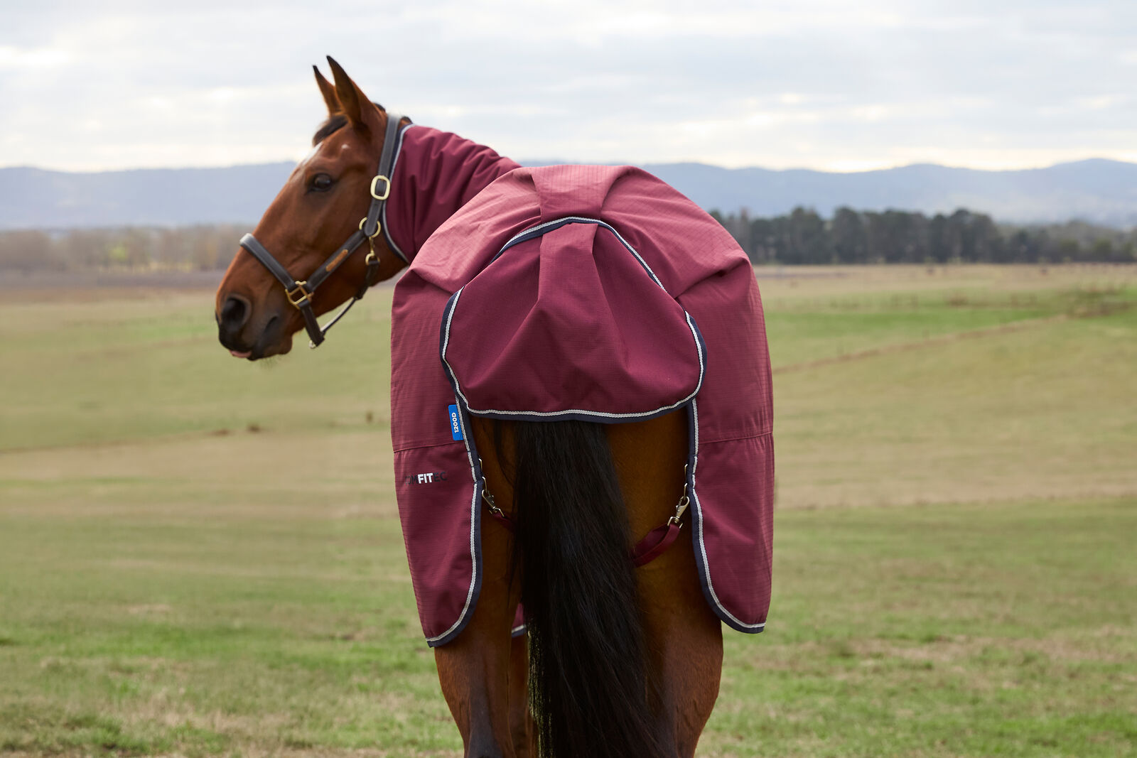 WEATHERBEETA COMFITEC PRELIM 0G HORSE TURNOUT RUG, FULL NECK COMBO, LIGHTWEIGHT