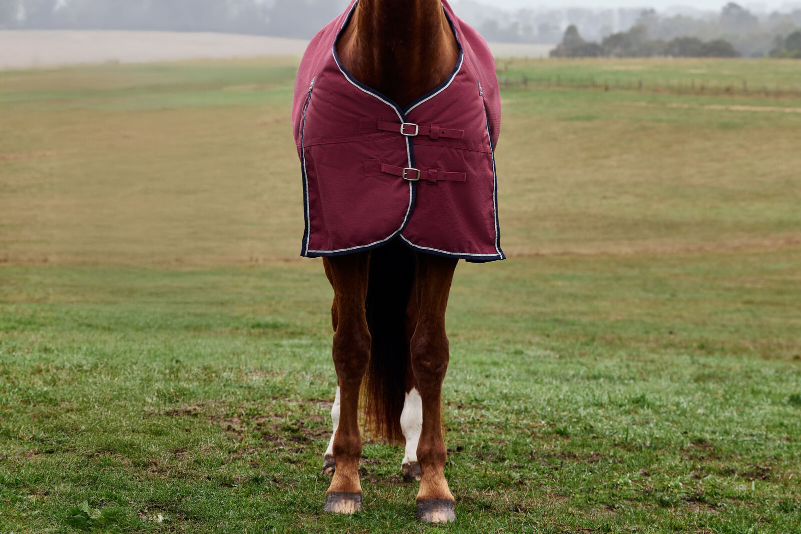 WEATHERBEETA COMFITEC PRELIM 220G HORSE TURNOUT RUG, 1200D, STANDARD NECK