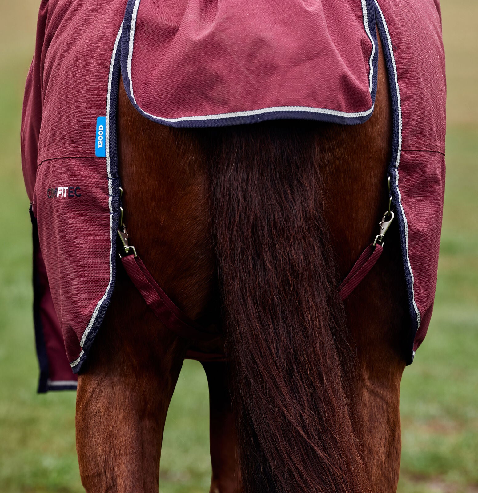 WEATHERBEETA COMFITEC PRELIM 0G HORSE TURNOUT RUG, 1200D, STANDARD NECK, LIGHT