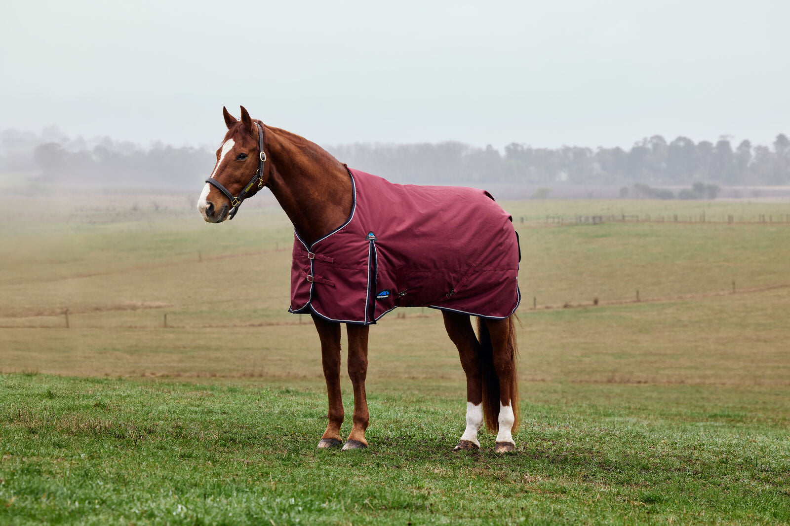 WEATHERBEETA COMFITEC PRELIM 220G HORSE TURNOUT RUG, 1200D, STANDARD NECK