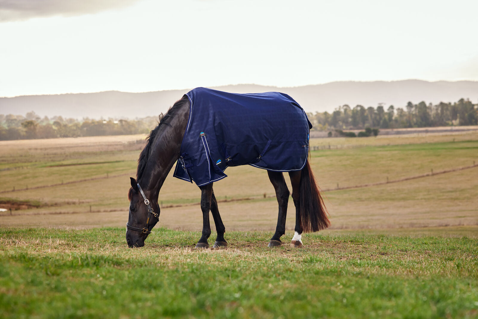 WEATHERBEETA COMFITEC PRELIM 220G HORSE TURNOUT RUG, 1200D, STANDARD NECK