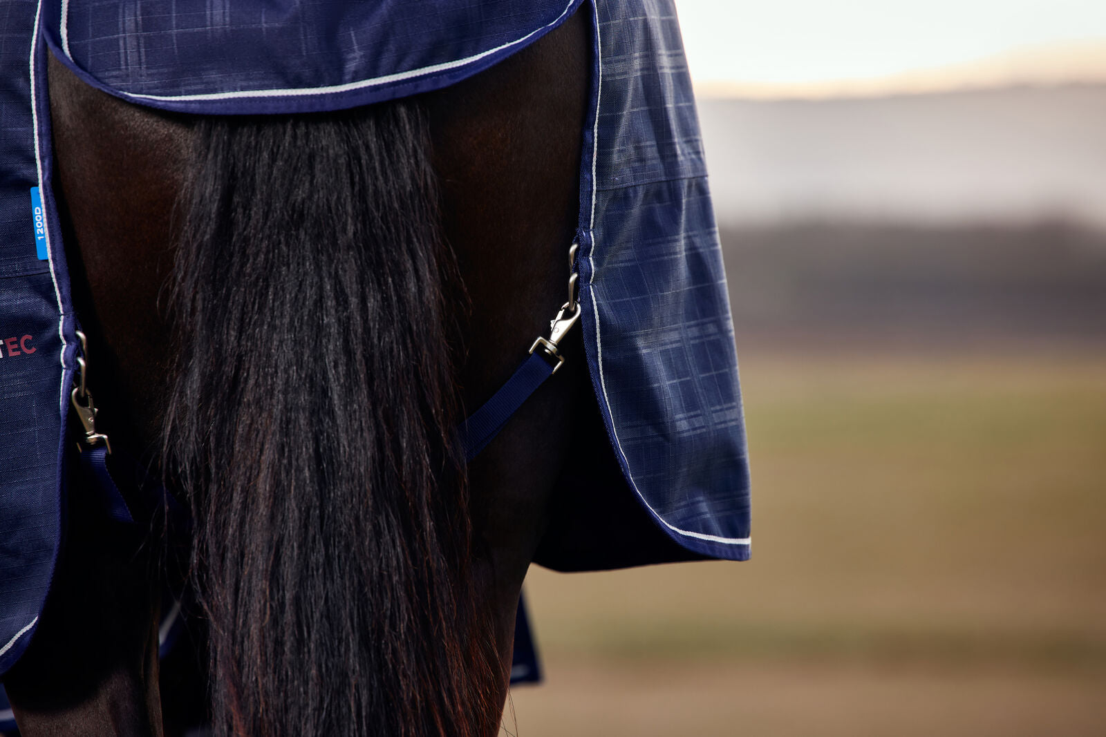 WEATHERBEETA COMFITEC PRELIM 220G HORSE TURNOUT RUG, 1200D, STANDARD NECK