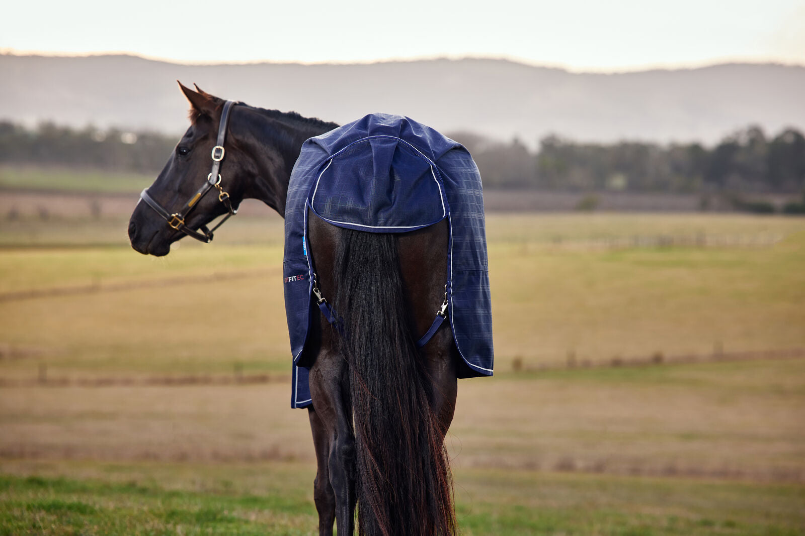 WEATHERBEETA COMFITEC PRELIM 220G HORSE TURNOUT RUG, 1200D, STANDARD NECK