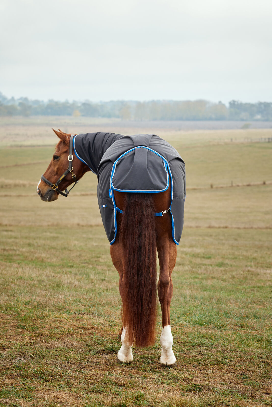WEATHERBEETA COMFITEC TYRO 220G HORSE TURNOUT RUG, FULL NECK COMBO, MEDIUMWEIGHT