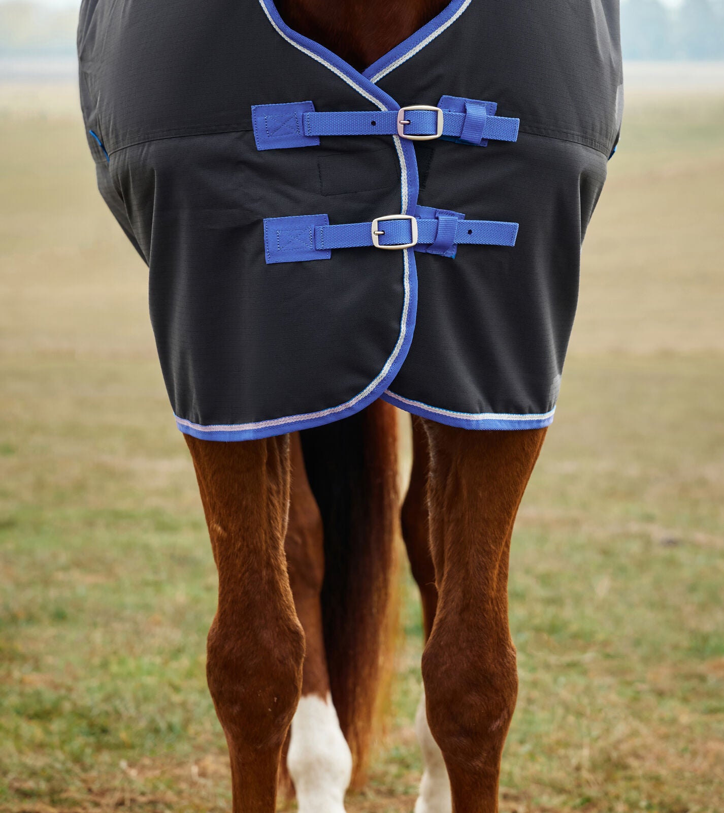 WEATHERBEETA COMFITEC TYRO 220G HORSE TURNOUT RUG, STANDARD NECK, MEDIUMWEIGHT