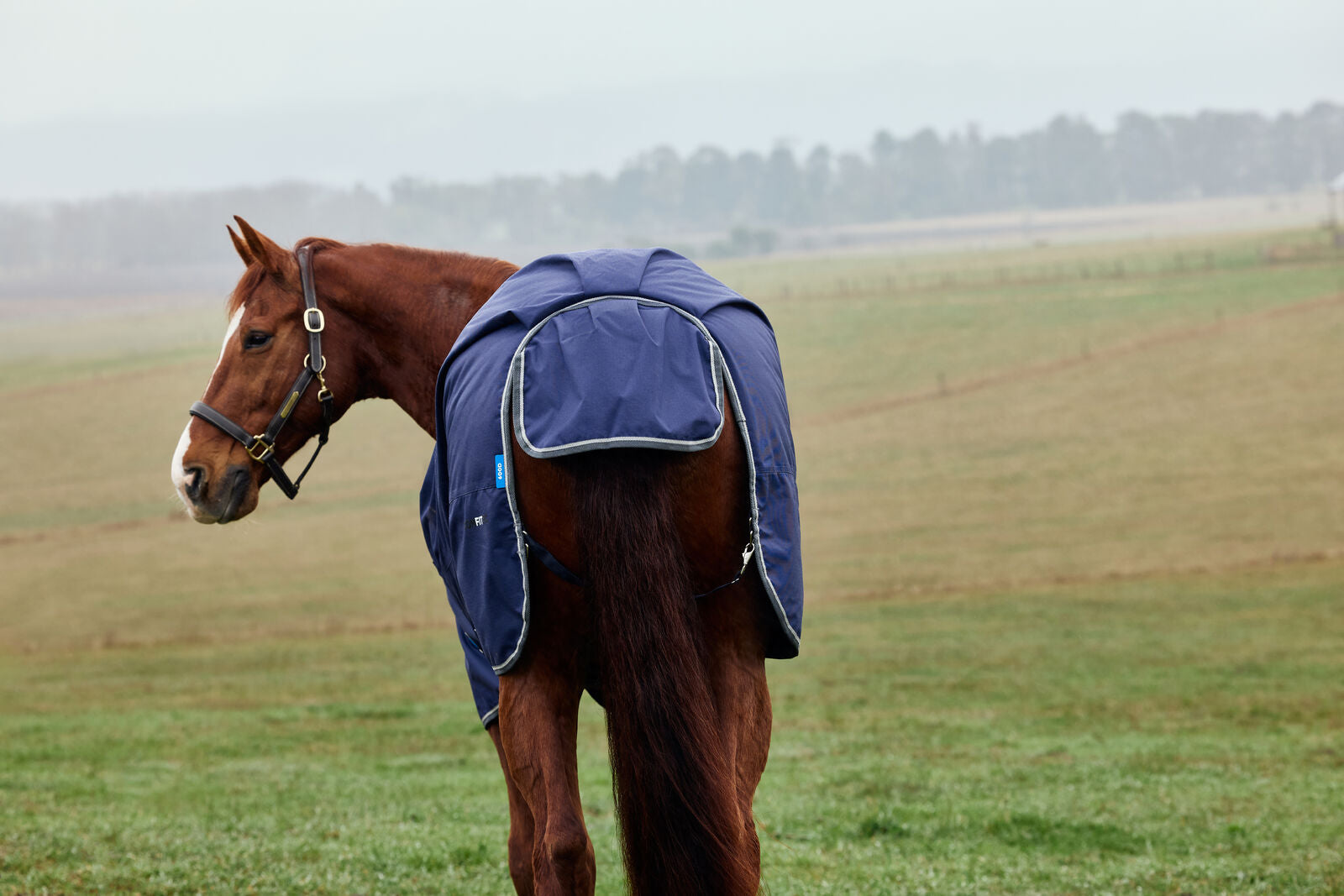 WEATHERBEETA COMFITEC TYRO 220G HORSE TURNOUT RUG, STANDARD NECK, MEDIUMWEIGHT