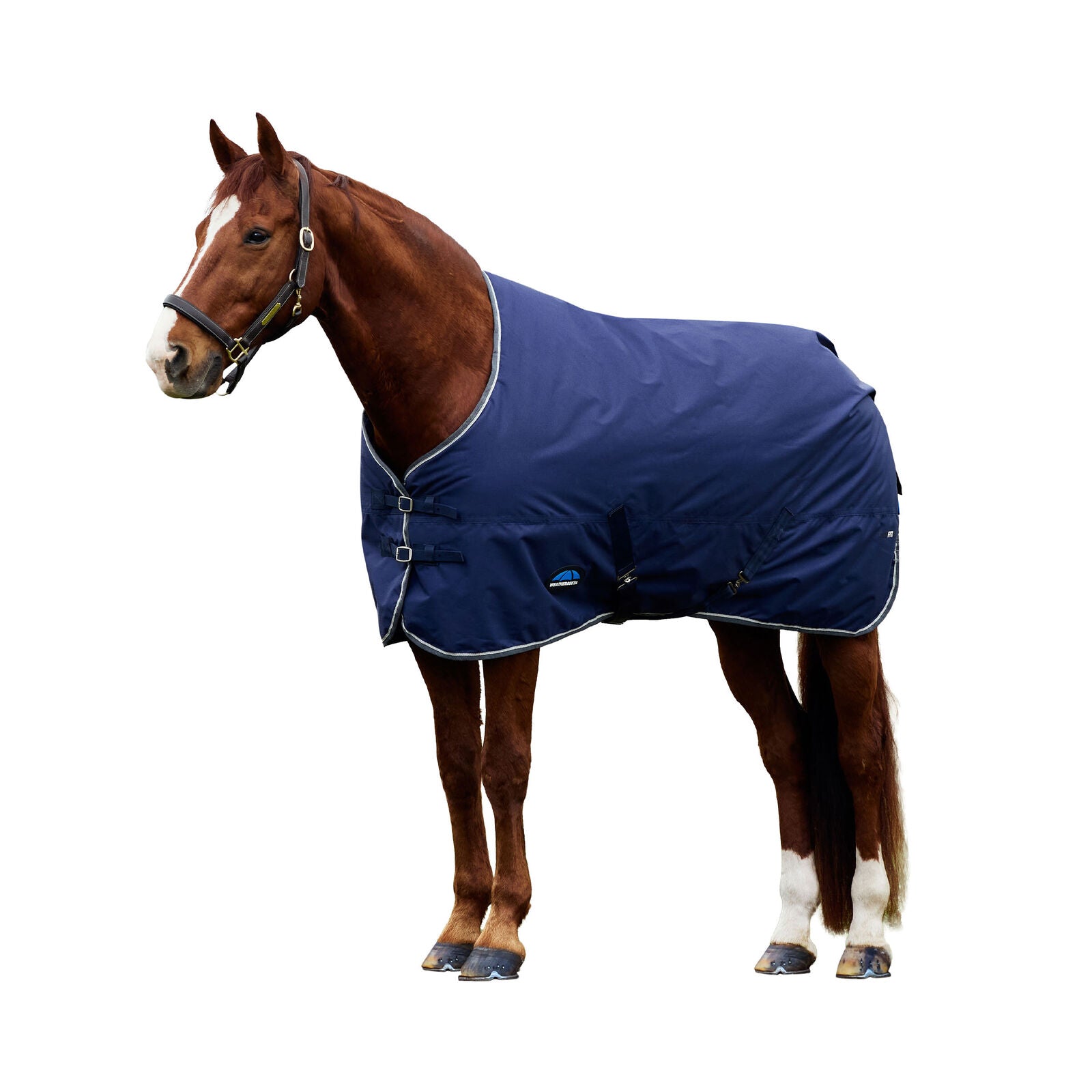 WEATHERBEETA COMFITEC TYRO 50G HORSE TURNOUT RUG, STANDARD NECK, LIGHTWEIGHT
