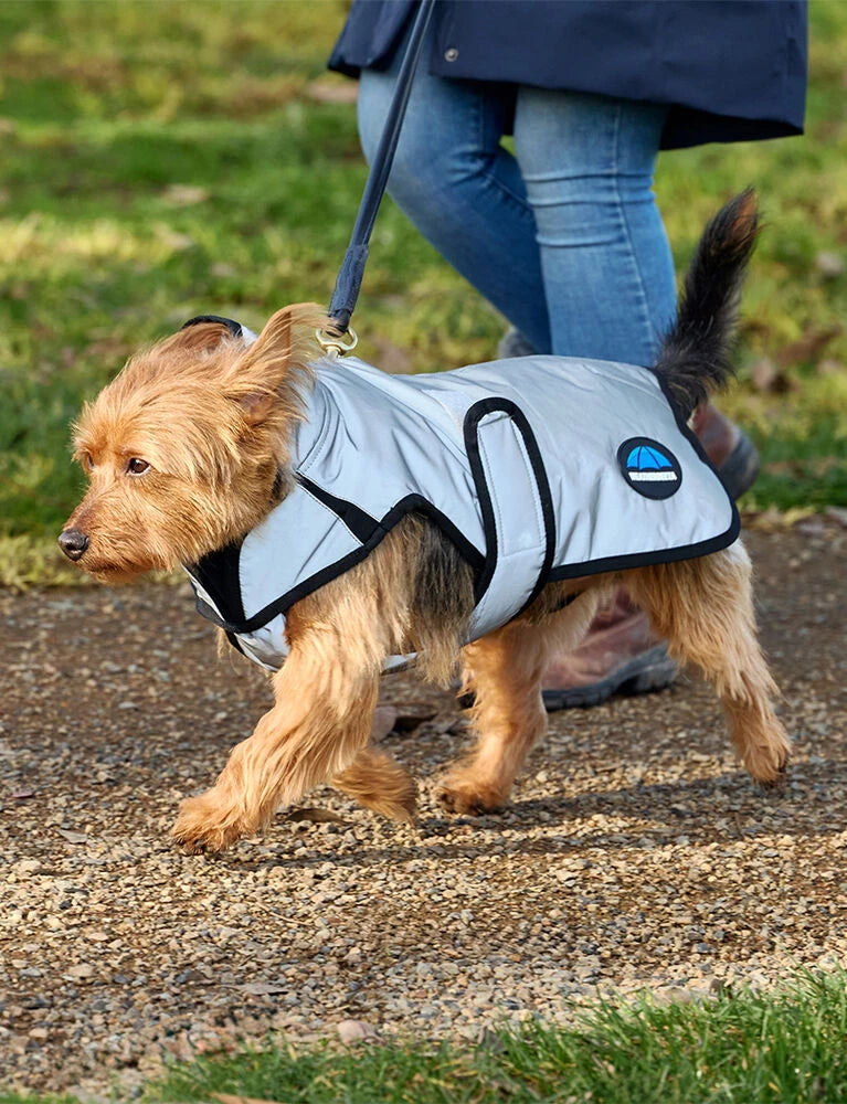 Weatherbeeta Comfitec Reflective Showerproof Dog Coat, Silver, 11 Sizes.