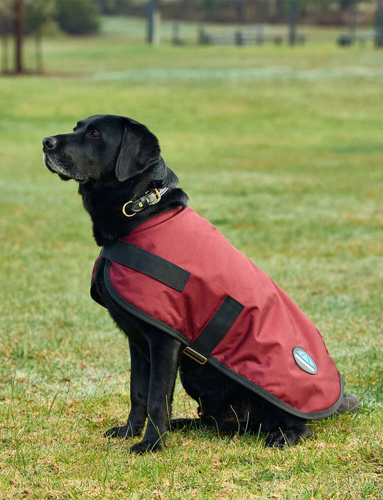 Weatherbeeta Comfitec Classic Waterproof Dog Coat, 3 Colours, 11 Sizes.
