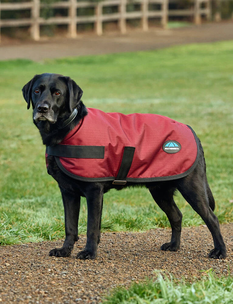 Weatherbeeta Comfitec Classic Waterproof Dog Coat, 3 Colours, 11 Sizes.