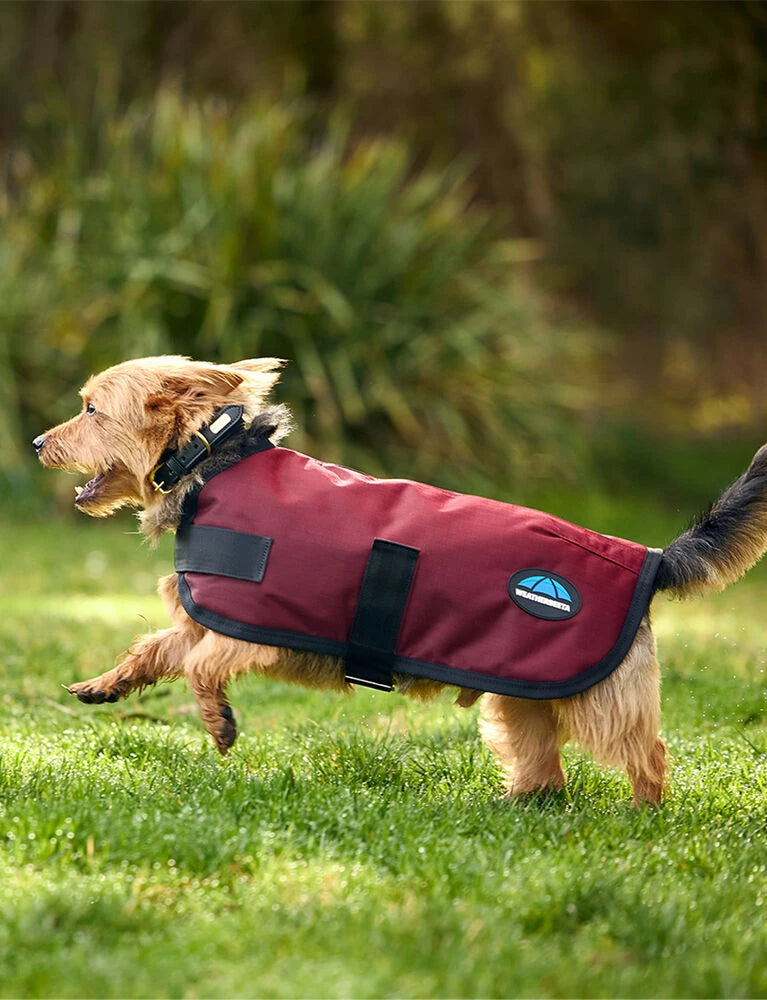 Weatherbeeta Comfitec Classic Waterproof Dog Coat, 3 Colours, 11 Sizes.