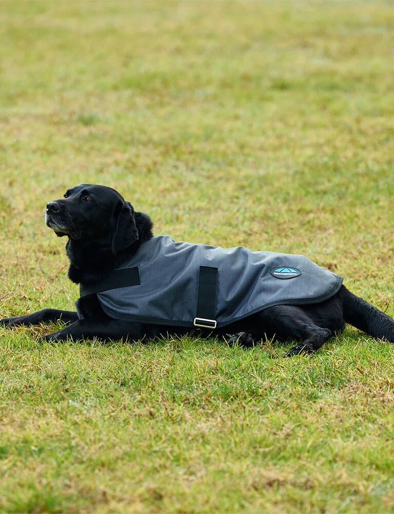 Weatherbeeta Comfitec Classic Waterproof Dog Coat, 3 Colours, 11 Sizes.