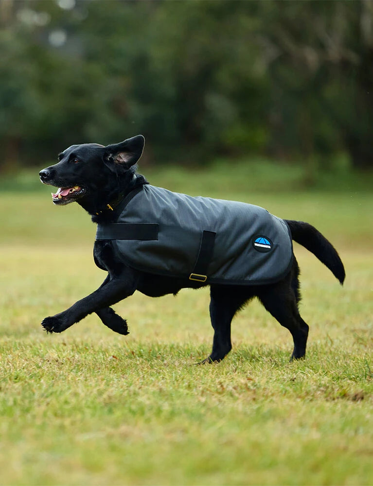 Weatherbeeta Comfitec Classic Waterproof Dog Coat, 3 Colours, 11 Sizes.