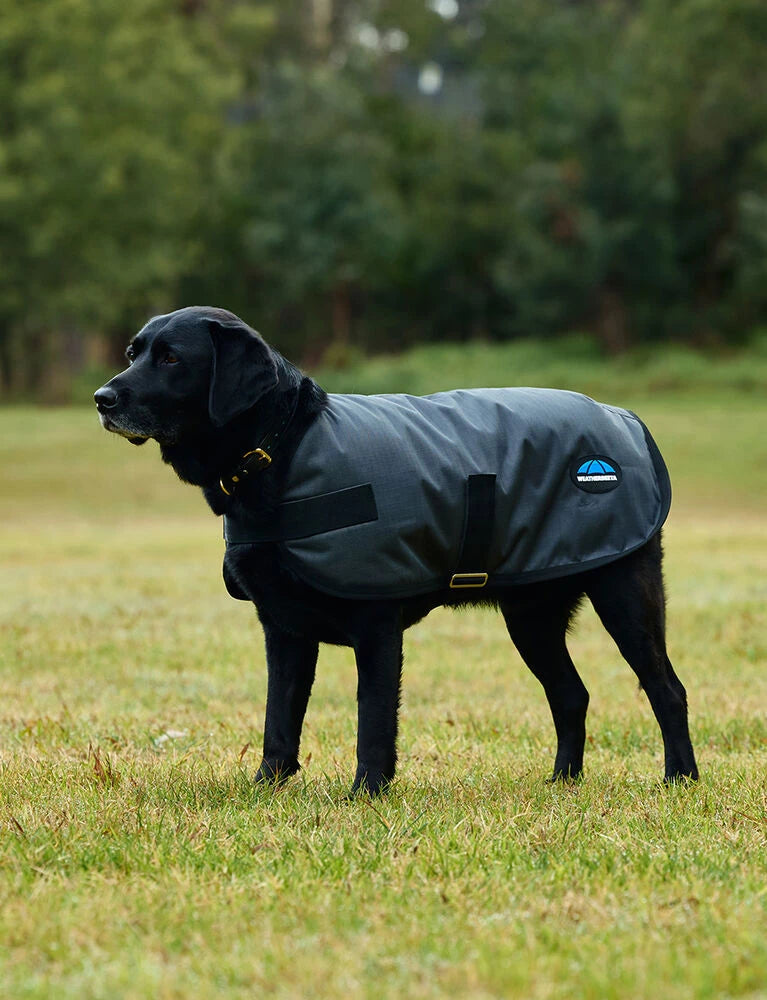 Weatherbeeta Comfitec Classic Waterproof Dog Coat, 3 Colours, 11 Sizes.