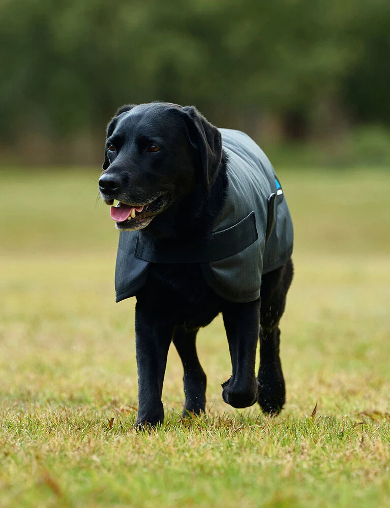 Weatherbeeta Comfitec Classic Waterproof Dog Coat, 3 Colours, 11 Sizes.