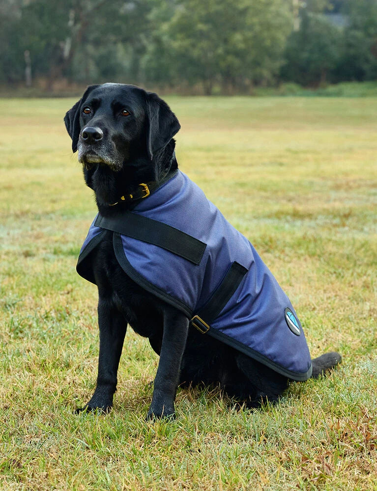 Weatherbeeta Comfitec Classic Waterproof Dog Coat, 3 Colours, 11 Sizes.