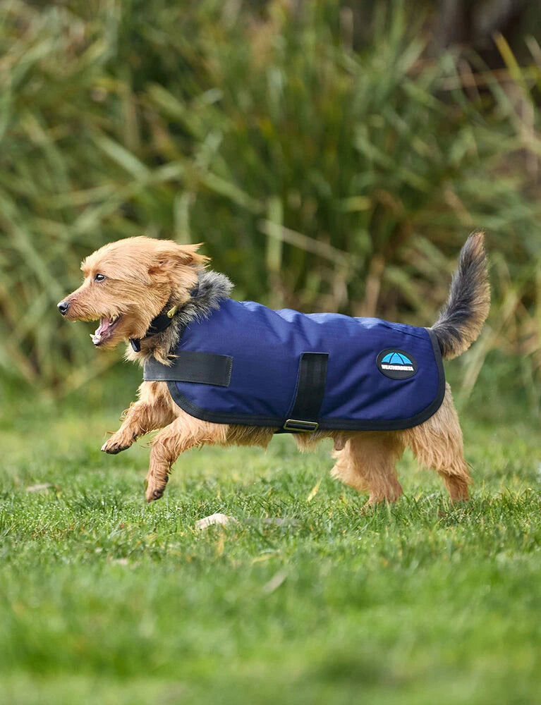 Weatherbeeta Comfitec Classic Waterproof Dog Coat, 3 Colours, 11 Sizes.